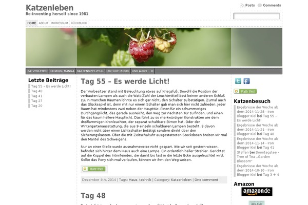 Site using Flattr plugin