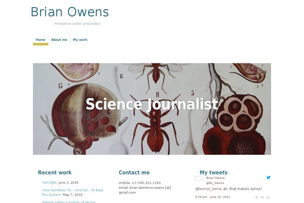 Pilot Fish theme site design template sample