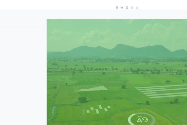 Essentials theme site design template sample