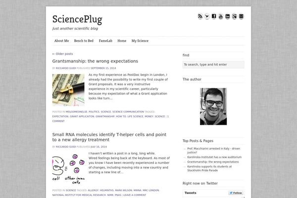 Swedish Greys theme site design template sample