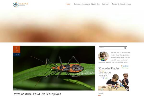 Ascent theme site design template sample