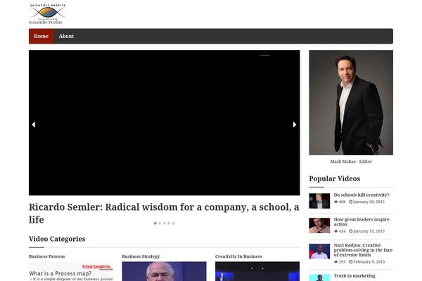 Video theme site design template sample