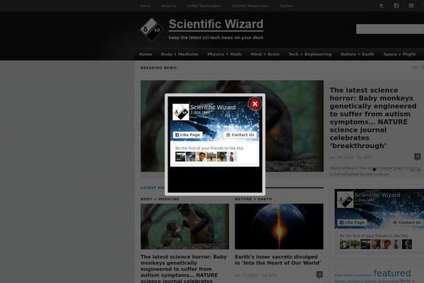 BlackLight theme site design template sample