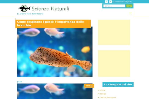 Newsup theme site design template sample