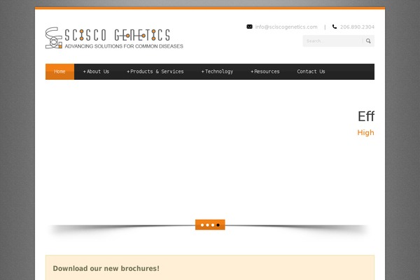 Blue Diamond v1.05 theme site design template sample