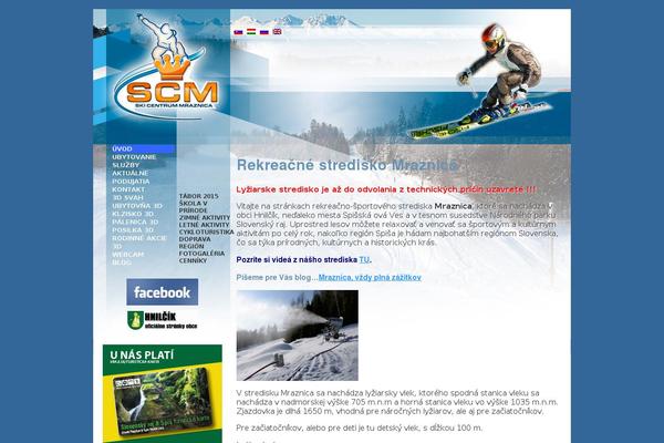 Site using WP Facebook Pixel plugin