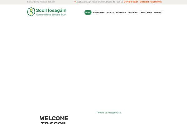 Little-birdies theme site design template sample