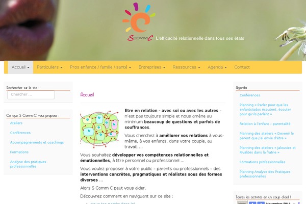 Colormag-pro theme site design template sample