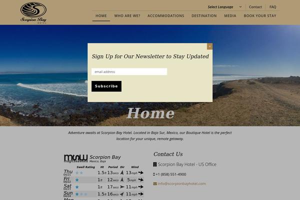 Site using Icegram plugin