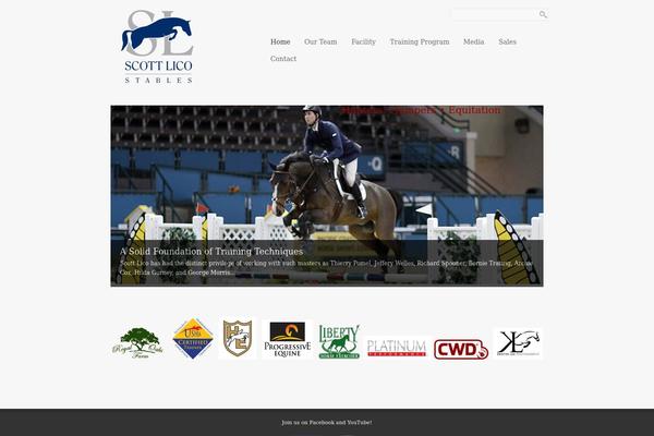 Elegance theme site design template sample