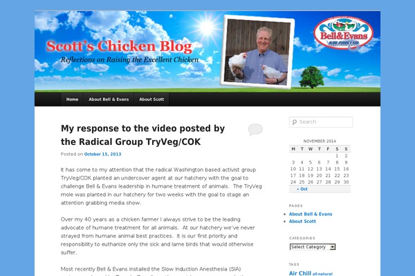 Twenty Eleven theme site design template sample