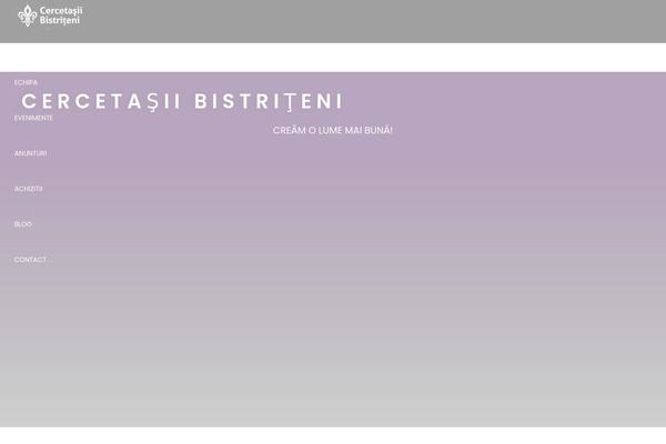 Site using Stripe-payments plugin