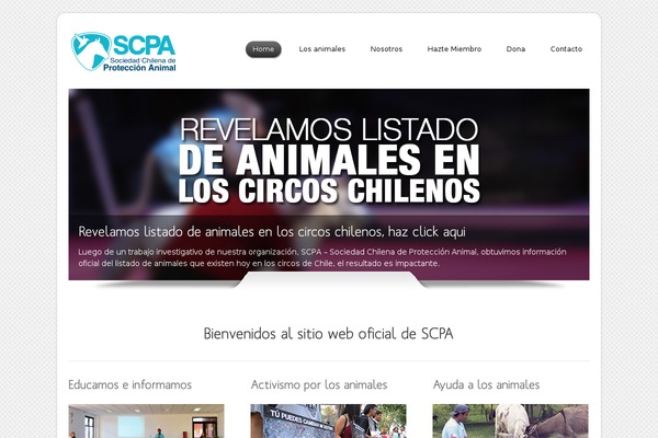 Dzonia Lite theme site design template sample