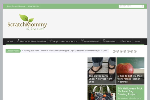 Site using Pinterest RSS Widget plugin