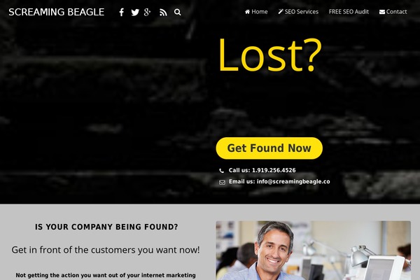 scrbeagle theme websites examples