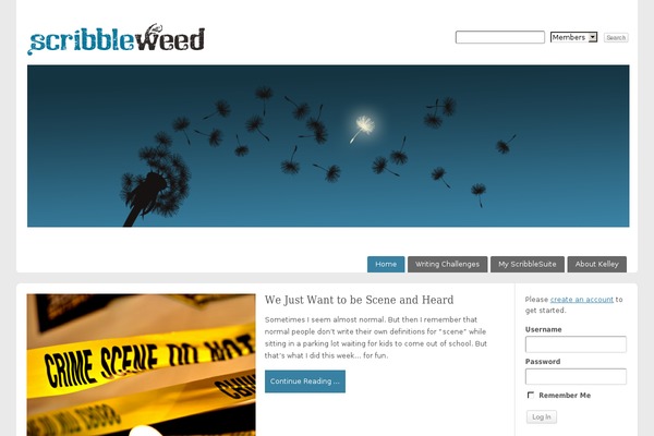 Site using WPBruiser {no-Captcha anti-Spam} plugin