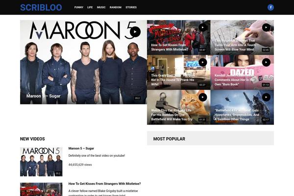Video theme site design template sample