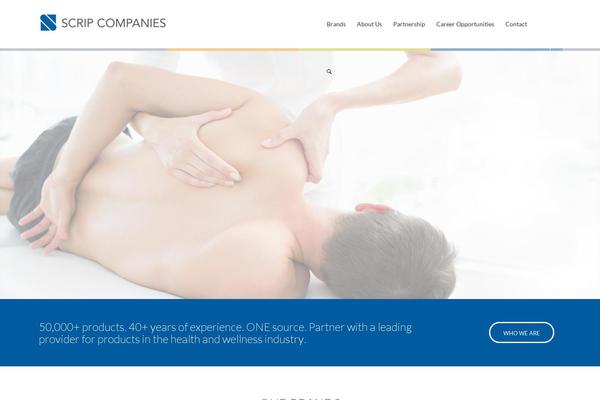 Enfold theme site design template sample