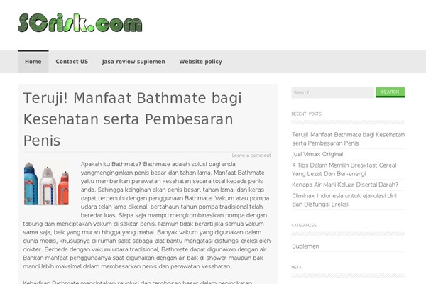 Coller theme site design template sample