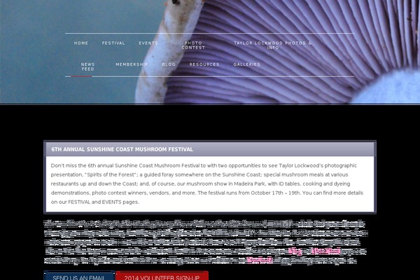 Finale theme site design template sample
