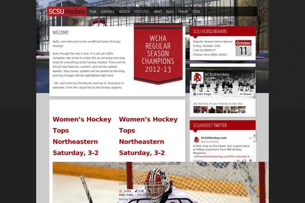 Rt_momentum_wp theme site design template sample
