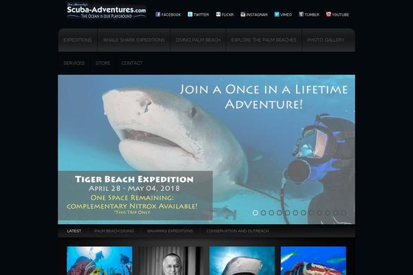 Site using EStore-advanced-variations-ui plugin