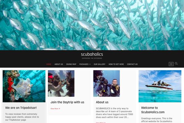 Site using Photo-gallery-image plugin