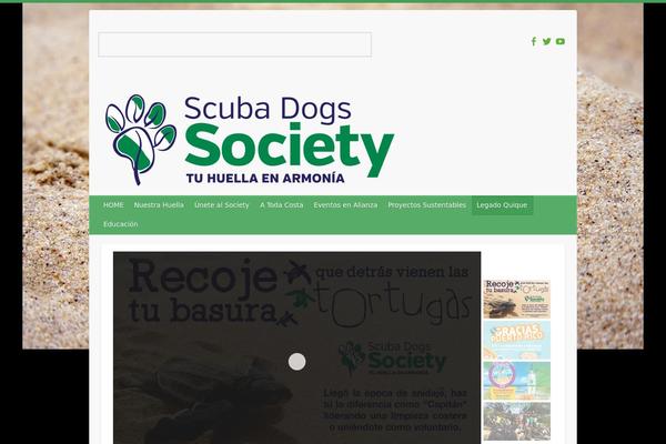Site using Floating Banner Ad Rotator with Tracking plugin