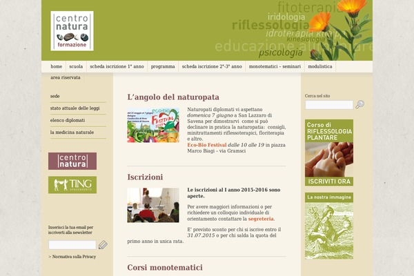 Brunelleschi theme site design template sample