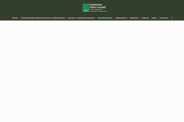 Wiz-child theme site design template sample