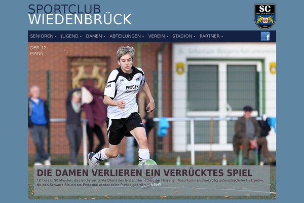 Dandelion v.2.6.8 theme site design template sample
