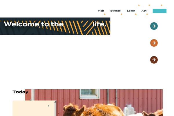 zoo theme site design template sample