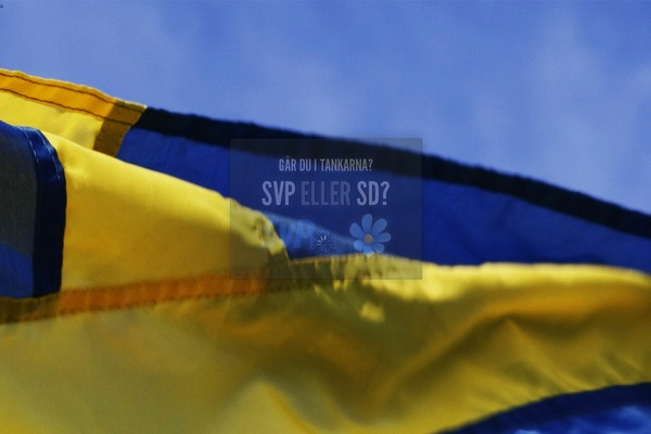 svp theme websites examples