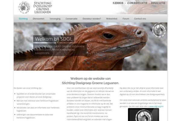 Squash theme site design template sample