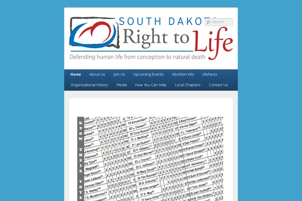 Catch Box theme site design template sample