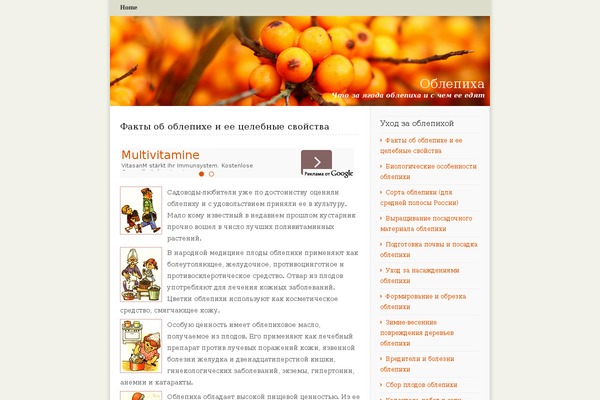 O2 theme site design template sample