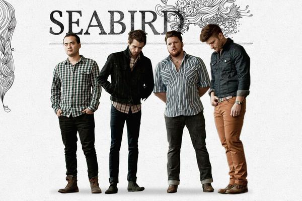 Seabird theme site design template sample