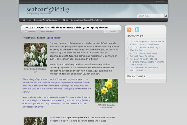 Arjuna X theme site design template sample