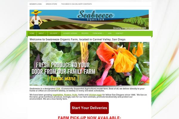 Practis theme site design template sample