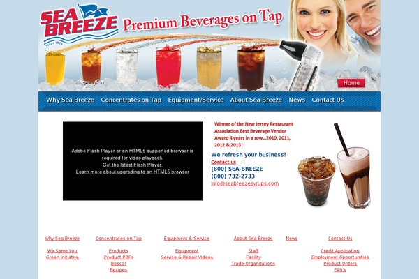 Silver Spot theme site design template sample