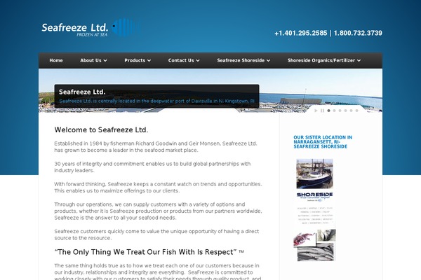 Nexus theme site design template sample