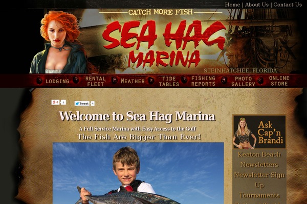 Site using Insert Headers and Footers plugin