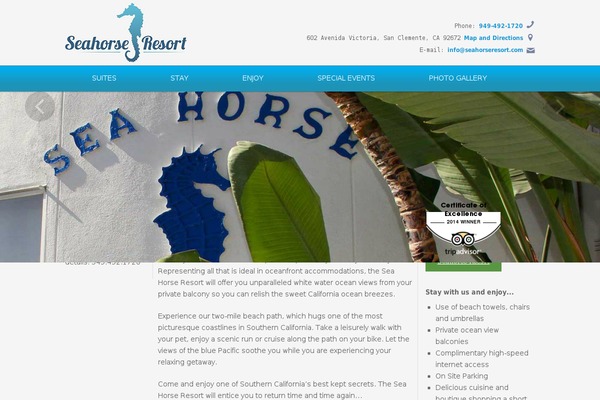 Ambassador theme site design template sample