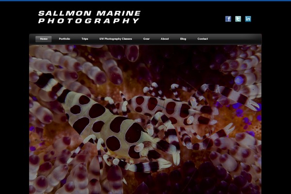 seait.com site used Photoworks