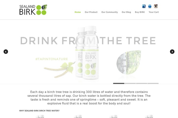 Mindful theme site design template sample