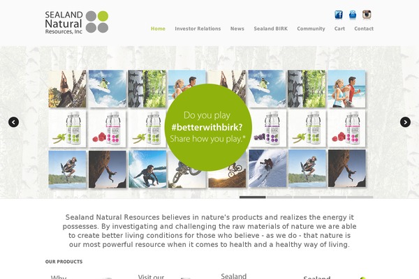 Mindful theme site design template sample