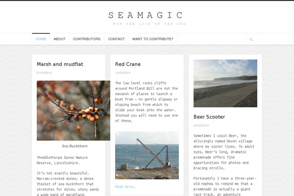 Hoarder theme site design template sample