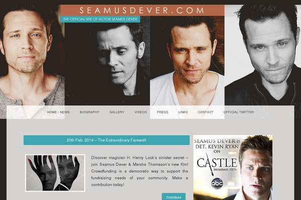Snaps theme site design template sample