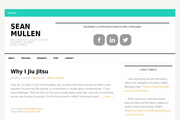 Site using Genesis Single Post Navigation plugin