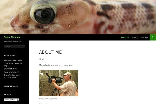 seanthomas.net site used Twenty Fourteen